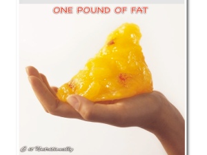 1 lb fat